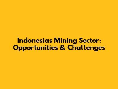 Indonesia's Mining Sector: Opportunities & Challenges