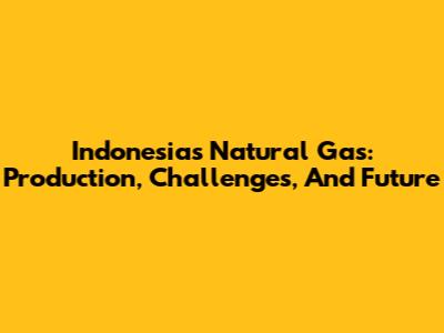 Indonesia's Natural Gas: Production, Challenges, And Future