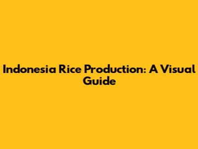 Indonesia Rice Production: A Visual Guide