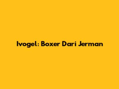 Ivogel: Boxer Dari Jerman