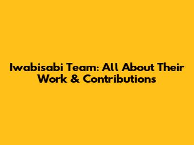 Iwabisabi Team: All About Their Work & Contributions