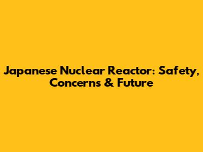 Japanese Nuclear Reactor: Safety, Concerns & Future