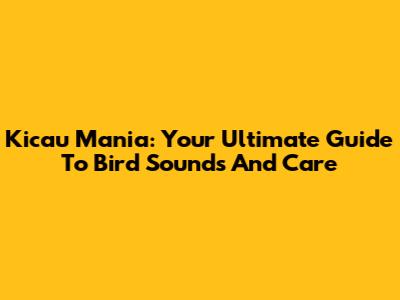 Kicau Mania: Your Ultimate Guide To Bird Sounds And Care