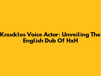 Knuckle's Voice Actor: Unveiling The English Dub Of HxH