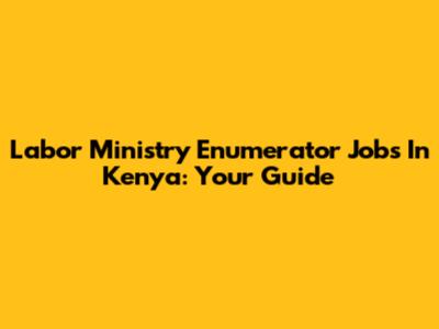 Labor Ministry Enumerator Jobs In Kenya: Your Guide