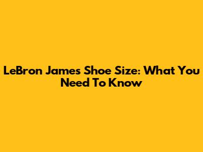 LeBron James Shoe Size: What You Need To Know