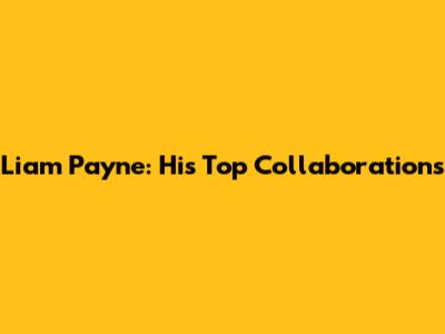 Liam Payne: His Top Collaborations