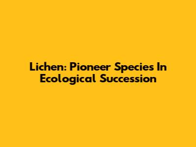Lichen: Pioneer Species In Ecological Succession