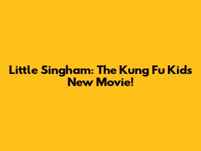 Little Singham: The Kung Fu Kid's New Movie!