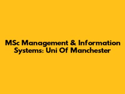 MSc Management & Information Systems: Uni Of Manchester