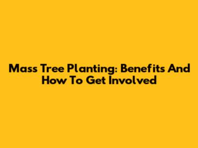 Mass Tree Planting: Benefits And How To Get Involved