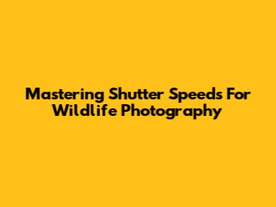 Mastering Shutter Speeds For Wildlife Photography