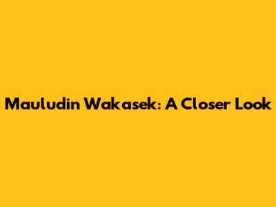 Mauludin Wakasek: A Closer Look