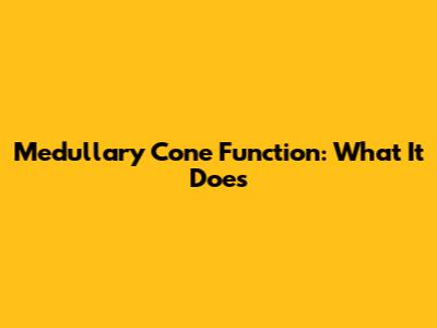 Medullary Cone Function: What It Does