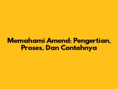 Memahami Amend: Pengertian, Proses, Dan Contohnya