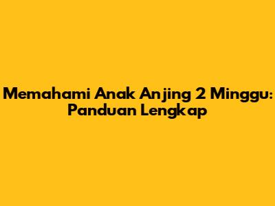 Memahami Anak Anjing 2 Minggu: Panduan Lengkap