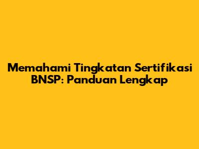Memahami Tingkatan Sertifikasi BNSP: Panduan Lengkap