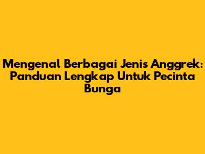Mengenal Berbagai Jenis Anggrek: Panduan Lengkap Untuk Pecinta Bunga