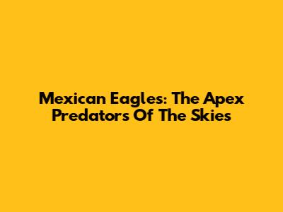 Mexican Eagles: The Apex Predators Of The Skies