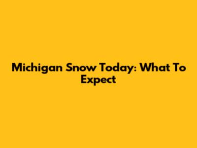 Michigan Snow Today: What To Expect