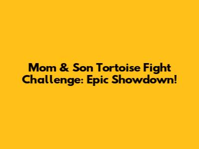 Mom & Son Tortoise Fight Challenge: Epic Showdown!