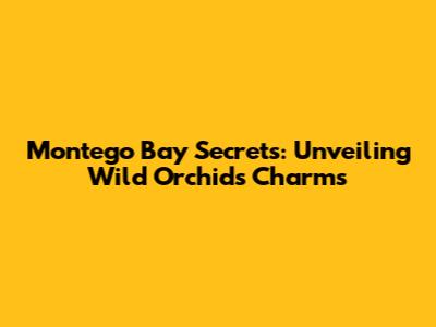 Montego Bay Secrets: Unveiling Wild Orchid's Charms