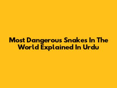 Most Dangerous Snakes In The World Explained In Urdu