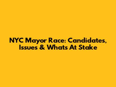 NYC Mayor Race: Candidates, Issues & What's At Stake