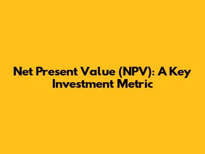Net Present Value (NPV): A Key Investment Metric