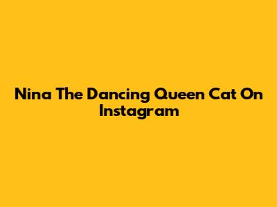 Nina The Dancing Queen Cat On Instagram