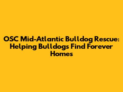 OSC Mid-Atlantic Bulldog Rescue: Helping Bulldogs Find Forever Homes