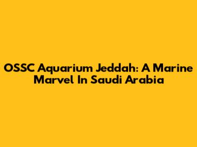 OSSC Aquarium Jeddah: A Marine Marvel In Saudi Arabia