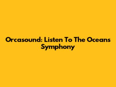 Orcasound: Listen To The Ocean's Symphony