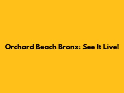 Orchard Beach Bronx: See It Live!