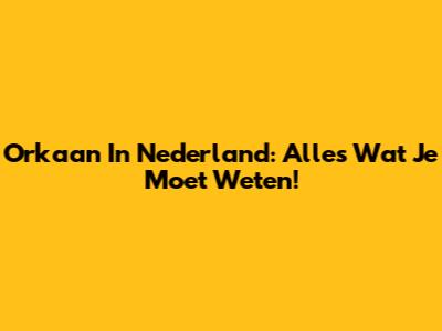 Orkaan In Nederland: Alles Wat Je Moet Weten!