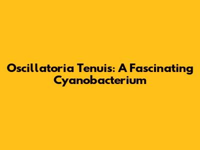 Oscillatoria Tenuis: A Fascinating Cyanobacterium