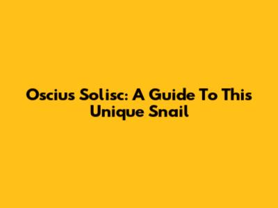 Oscius Solisc: A Guide To This Unique Snail