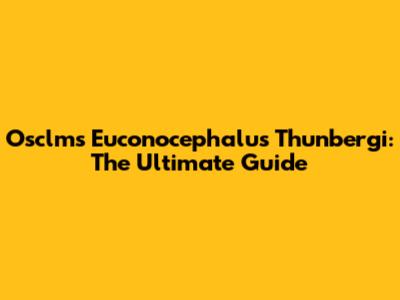 Osclms Euconocephalus Thunbergi: The Ultimate Guide