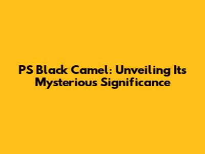 PS Black Camel: Unveiling Its Mysterious Significance