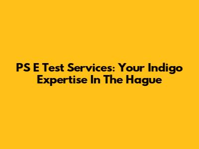 PS E Test Services: Your Indigo Expertise In The Hague