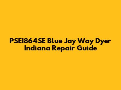 PSEI864SE Blue Jay Way Dyer Indiana Repair Guide