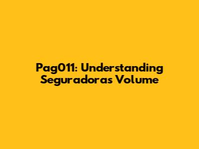 Pag011: Understanding Seguradora's Volume