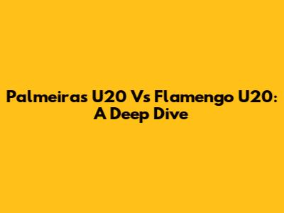 Palmeiras U20 Vs Flamengo U20: A Deep Dive