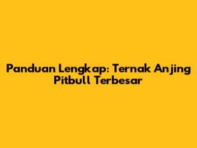 Panduan Lengkap: Ternak Anjing Pitbull Terbesar