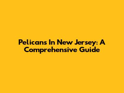 Pelicans In New Jersey: A Comprehensive Guide