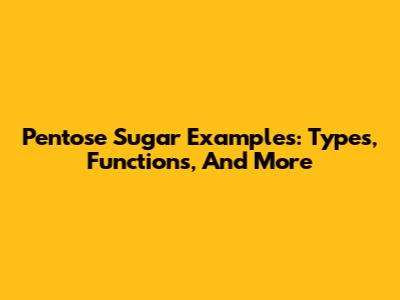 Pentose Sugar Examples: Types, Functions, And More