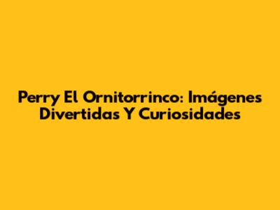 Perry El Ornitorrinco: Imágenes Divertidas Y Curiosidades