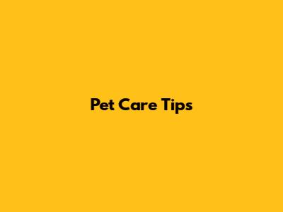 Pet Care Tips
