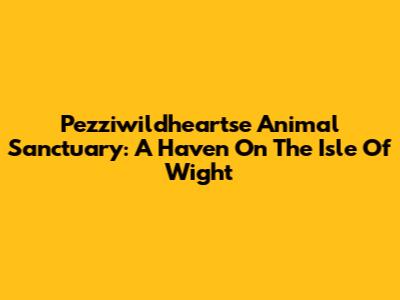 Pezziwildheartse Animal Sanctuary: A Haven On The Isle Of Wight
