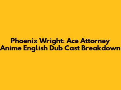 Phoenix Wright: Ace Attorney Anime English Dub Cast Breakdown